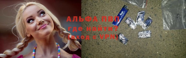 твердый Арсеньев