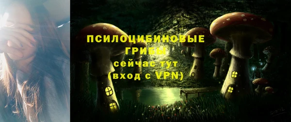 твердый Армянск