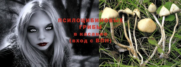 твердый Арсеньев