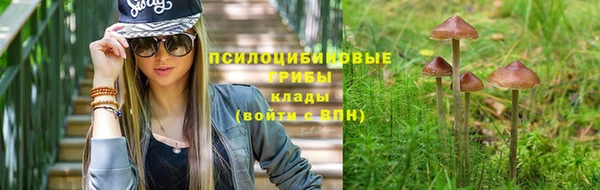 твердый Армянск