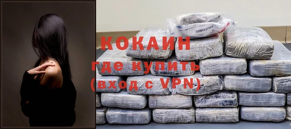 твердый Арсеньев