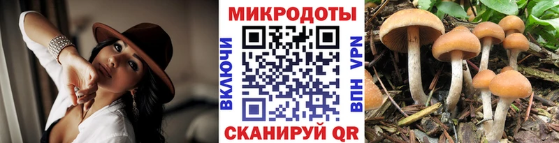 Галлюциногенные грибы Psilocybe  Пермь 